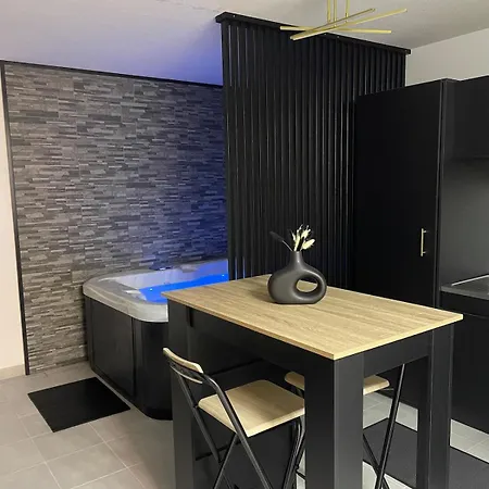 With Jacuzzi & Sauna Near Toulouse Apartment Daux